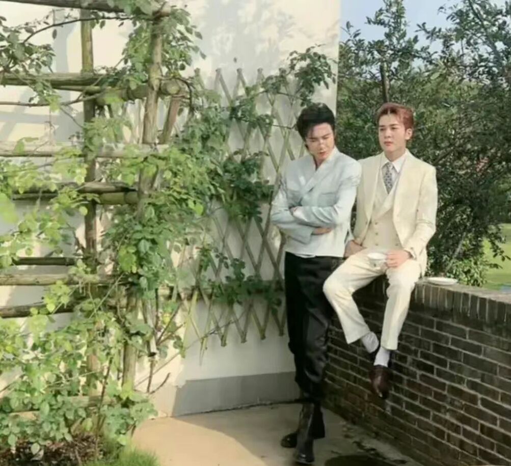 他们是娱乐圈行走的“照妖镜”、“合照杀手”，逼得人使用神器