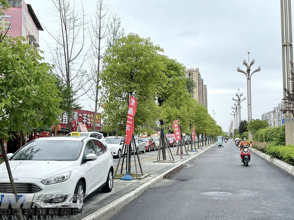 江油二手車路邊攤讓人“傷不起”