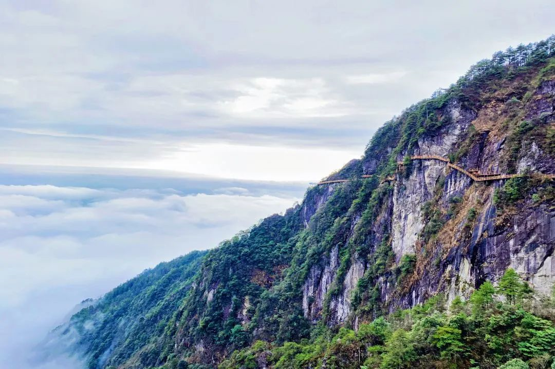 福利来袭！中国旅游日江西免票景区合集奉上