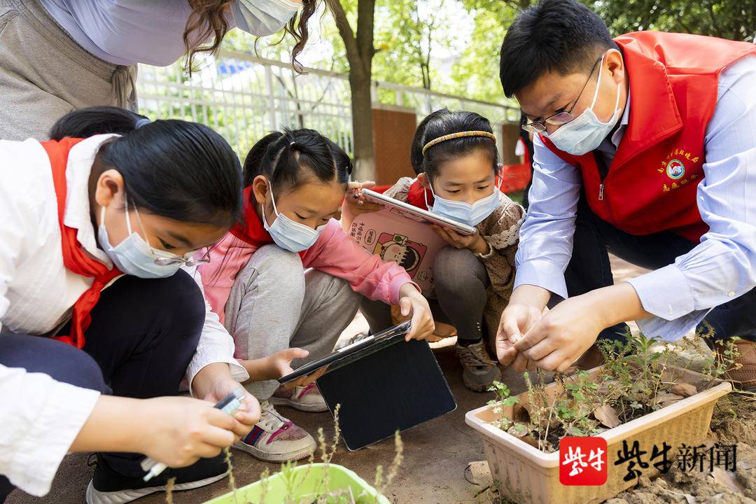 南京农业大学植物保护学院，南京农业大学植物保护专业怎么样