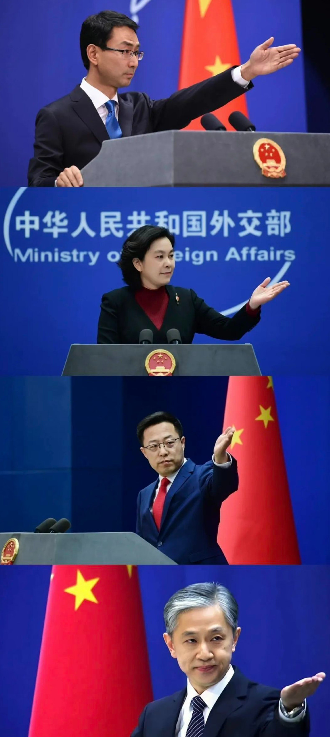 专业解读 |“我可以翻译！但我的专业不仅仅如此！”