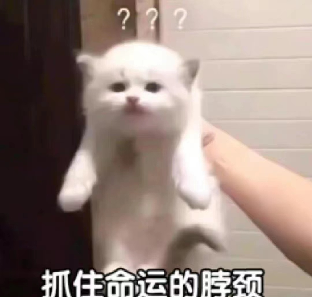 专业解读 |“我可以翻译！但我的专业不仅仅如此！”