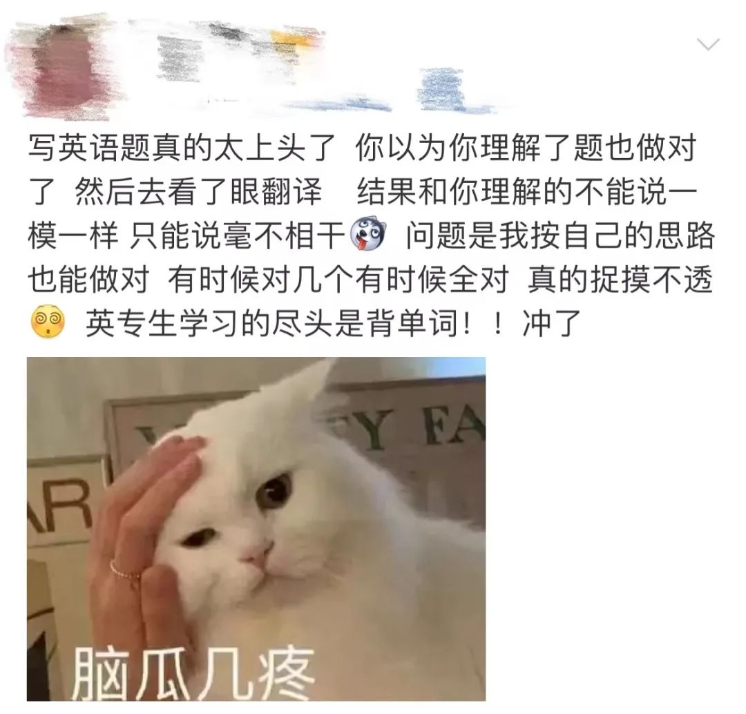 专业解读 |“我可以翻译！但我的专业不仅仅如此！”