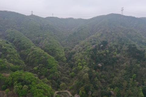 韩国出土刻有古印度文字的瓦片 引发文物专家关注