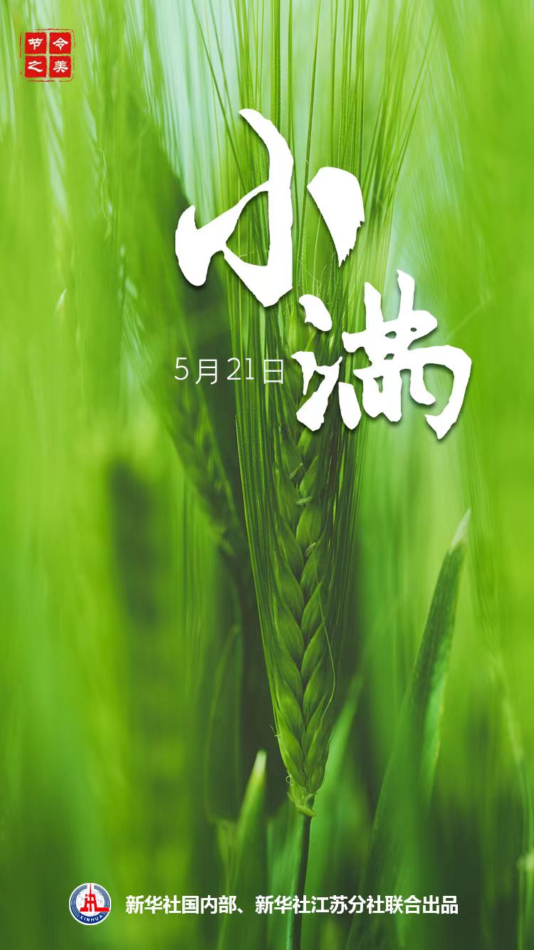 【網絡中國節·小滿】節令之美·小滿｜小滿說“滿”