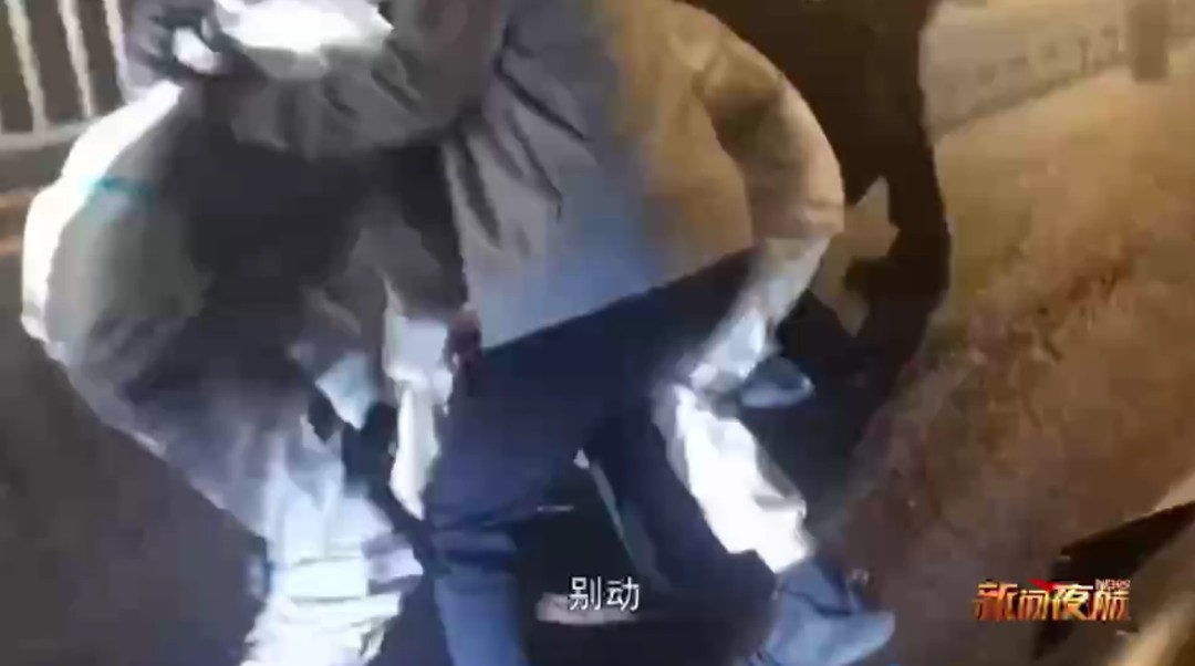 深夜，这几个人在哈尔滨全城乱窜......视频拍下全部过程