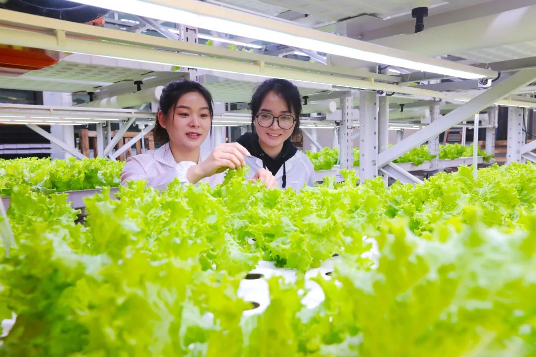 一把手谈人才 | 专访市人社局党组书记、局长