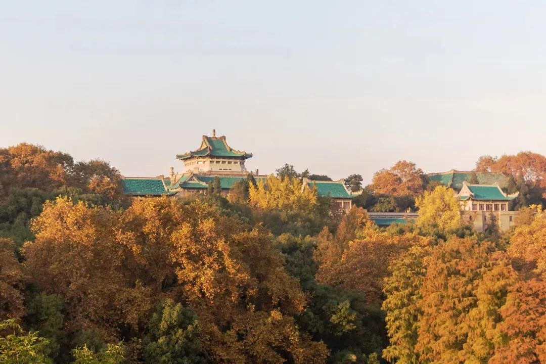 不负梦想的你依然可以看到那个愿我们在珞珈山武汉大学全日制普通本科