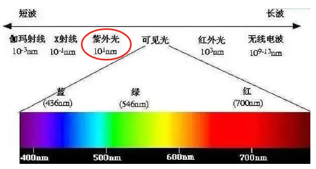 这种免费又好用的消毒方式,就在你身边