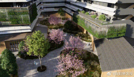 深圳育才中學(xué)新校區(qū)規(guī)劃亮相!提前看(圖4)