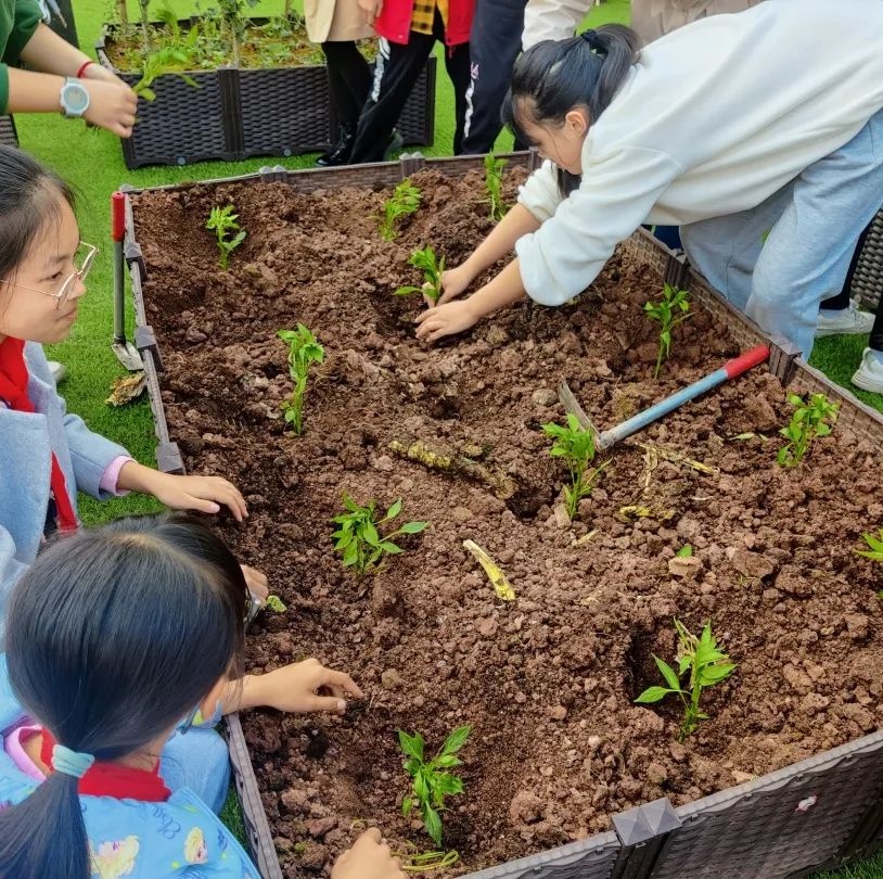 城南家园小学：回归与重构 破冰“双减”(图13)