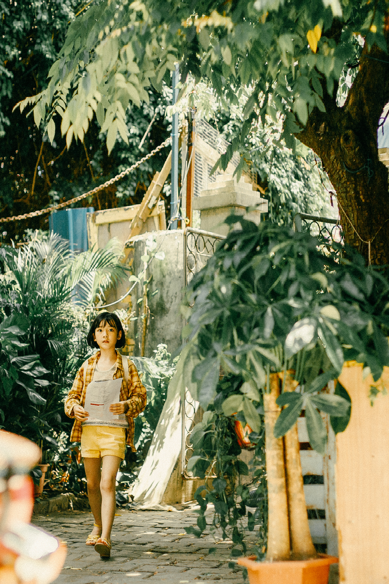 黑白体育直播平台（爱情在云南，悬疑看东北…1210部影视剧外景地大调查丨图数馆）