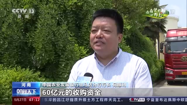 在希望的田野上·三夏時節(jié)丨全國小麥機收穩(wěn)步推進 多行業(yè)保障夏收開鐮