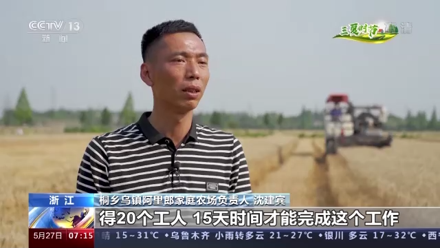在希望的田野上·三夏時節(jié)丨全國小麥機收穩(wěn)步推進 多行業(yè)保障夏收開鐮