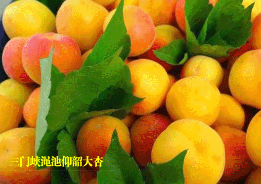 考前考中注意啥“名师”贴心来指点