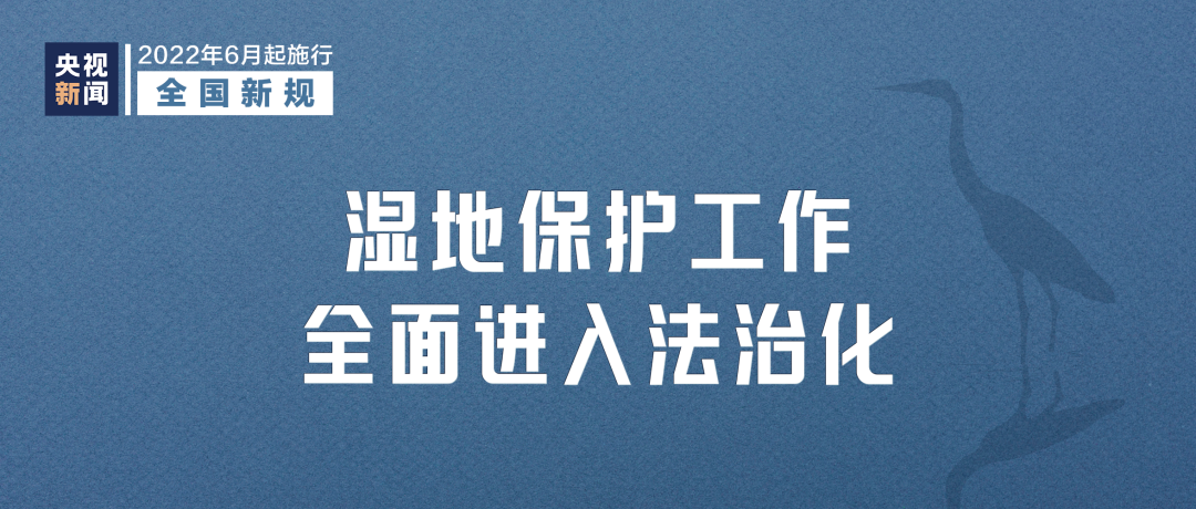 6Щ¹潫Ӱ