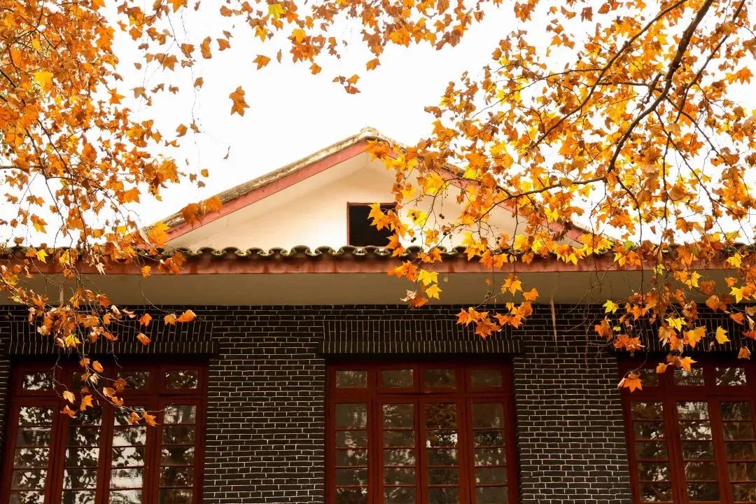 高三学子注意！四川多所高校发布本科招生章程