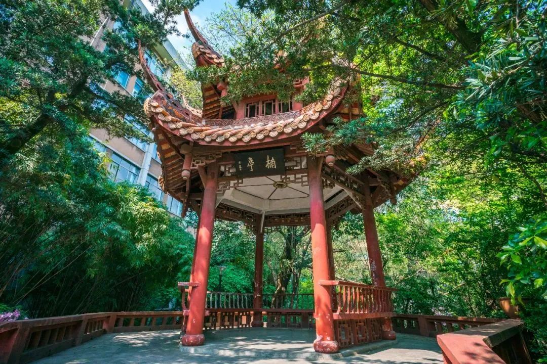 高三学子注意！四川多所高校发布本科招生章程