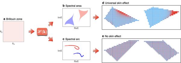物理所在高维体系中的普适非厄米趋肤效应研究中取得进展