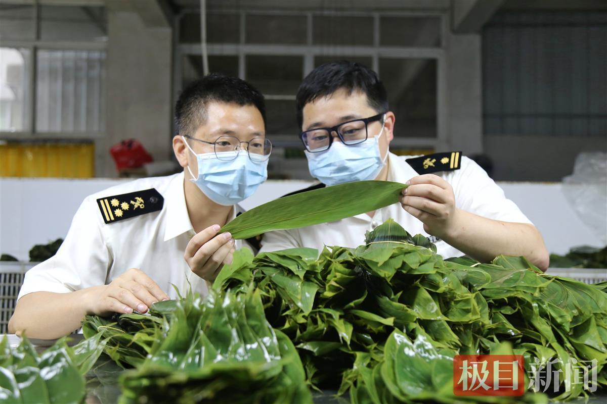 端午佳节近，粽叶出口忙，恩施箬叶飘洋过海