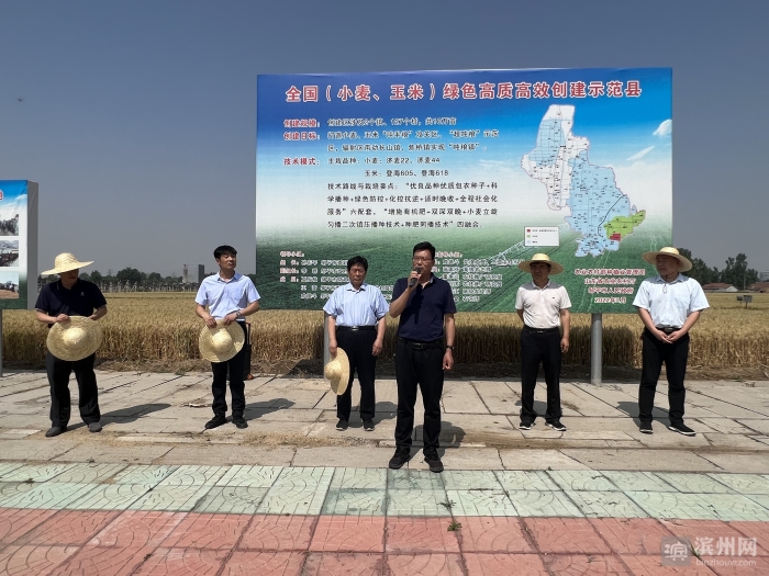 滨州市粮食绿色高质高效创建项目小麦生产现场观摩会召开