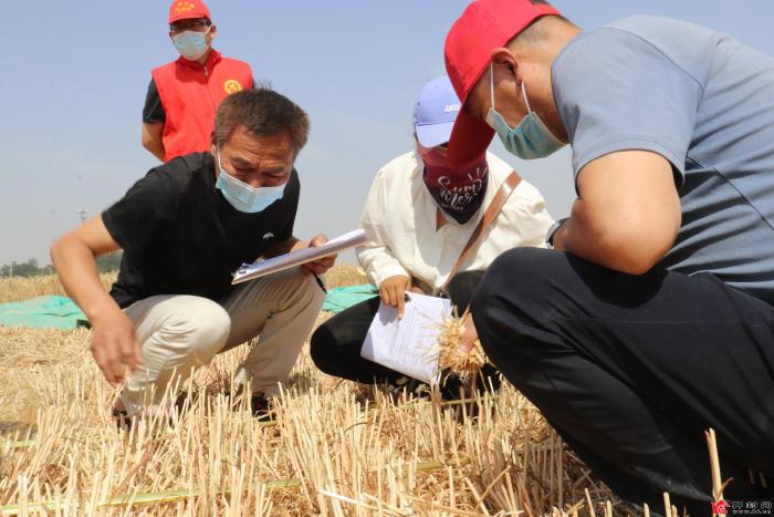 减损就是增产 降耗就是增收——小麦机收减损技能大比武通许赛区纪实