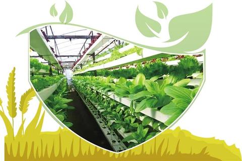 icba（ic版图设计工程师待遇）