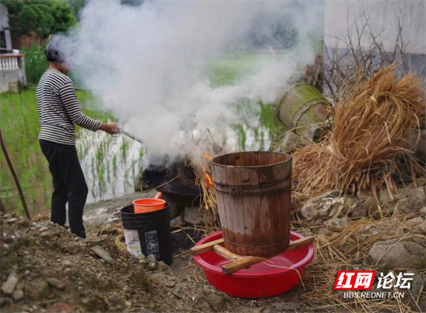 传统粽子的制作方法（传统粽子图片大全）