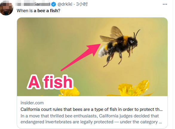 加州法官裁定大黄蜂是鱼类一种，网友看到背后原因，送上这个表情