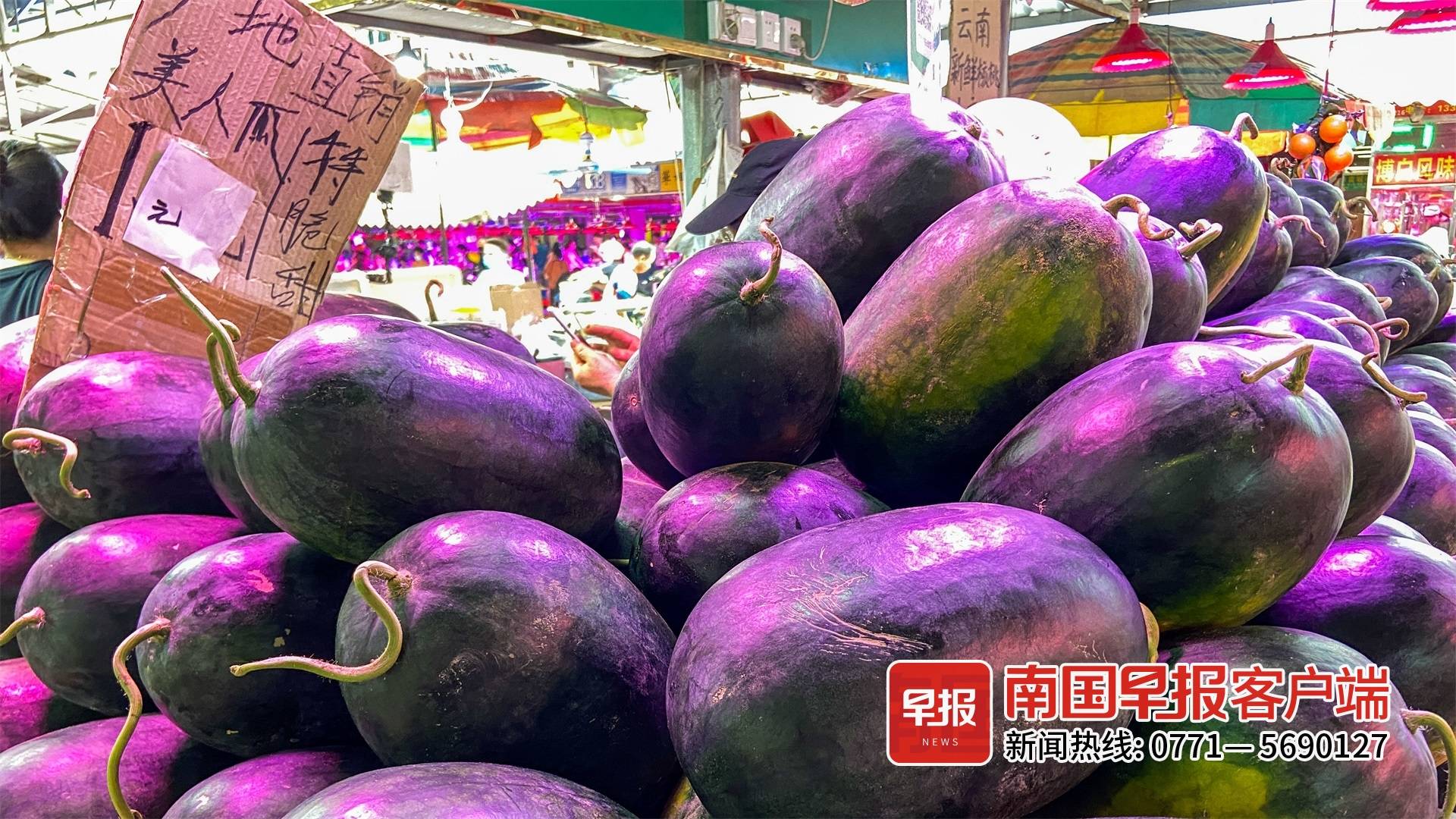 今天你吃瓜了吗？广西本地西瓜集中上市，低至一块一斤