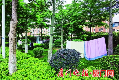 厦门市集美区部分社区乱象丛生 街边污水散发恶臭