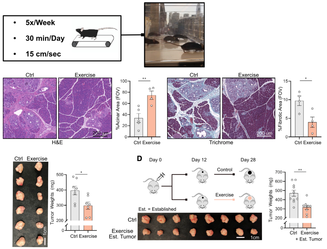 ϸӿ˶ʵѧ֤ʵ˶Լضϸٰحٴ