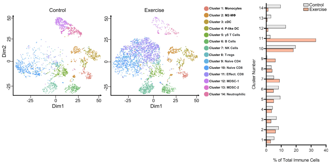 ϸӿ˶ʵѧ֤ʵ˶Լضϸٰحٴ