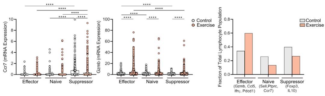 ϸӿ˶ʵѧ֤ʵ˶Լضϸٰحٴ