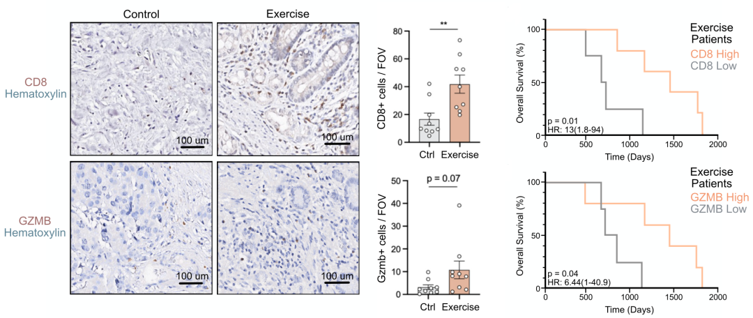 ϸӿ˶ʵѧ֤ʵ˶Լضϸٰحٴ