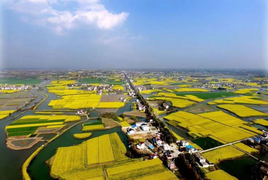 当涂再摘“全省第一”，解读安徽农民首富县的富裕密码