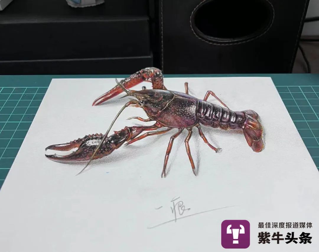 千锤百炼方得“妙手”！江苏画师逼真3D画让网友大呼：这是魔法吗？