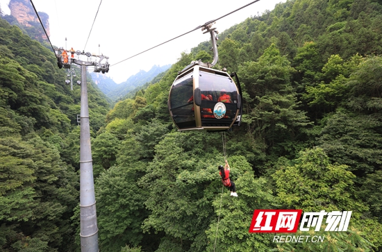 惊险！武陵源天子山索道高空应急救援演练直击