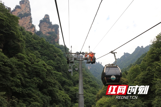 惊险！武陵源天子山索道高空应急救援演练直击