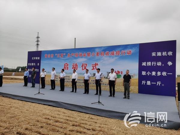 智慧農(nóng)機(jī)促減損保豐收 青島小麥陸續(xù)開始收獲