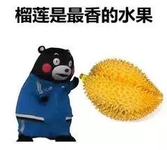 榴莲有这两位“亲戚”，竟然没有菠萝蜜……