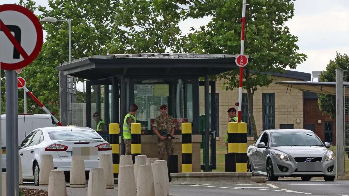 ӢɡŮھӪ񻶡زƵӢ߹٣ɳ