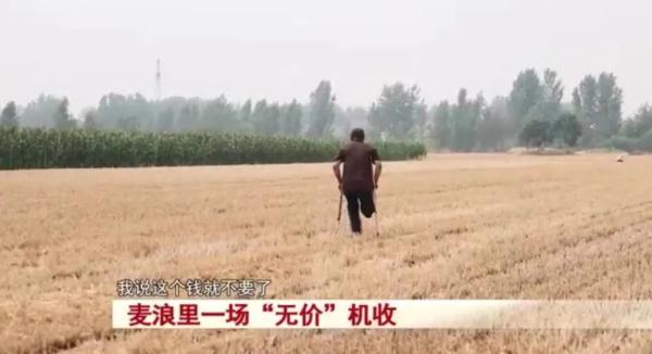 亳州小伙收完麥子，看到這個(gè)畫面，大喊一聲“這份錢不要了吧！”