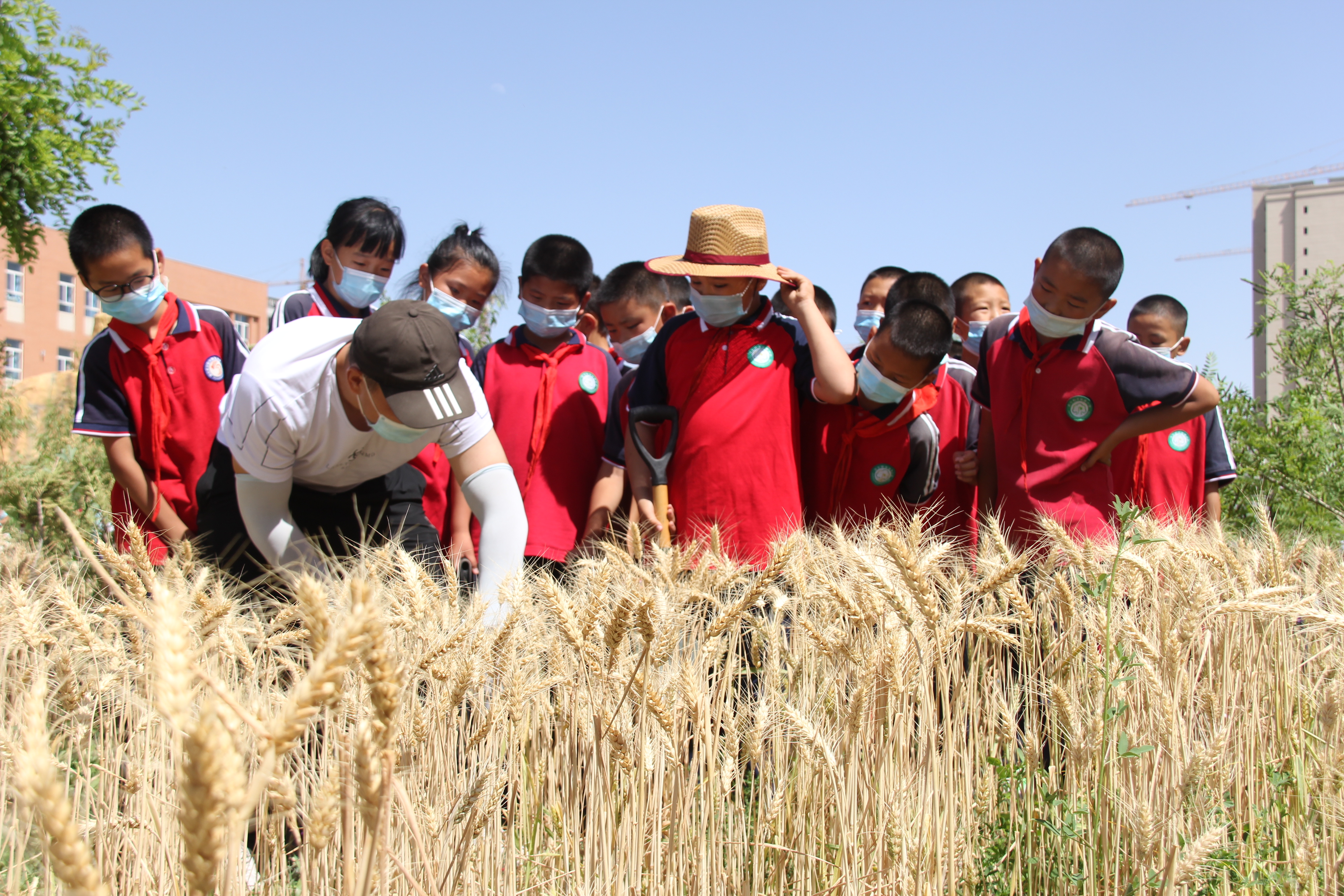 庫爾勒市梨香小學(xué)有序推進“雙減”走深走實(圖1)