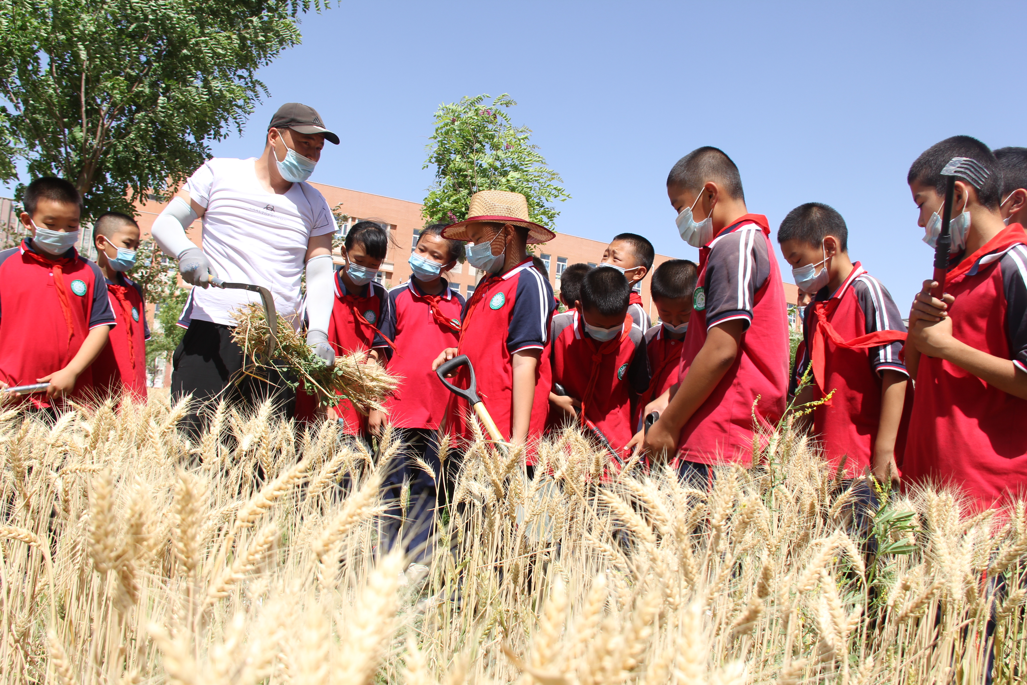 庫爾勒市梨香小學(xué)有序推進“雙減”走深走實(圖2)