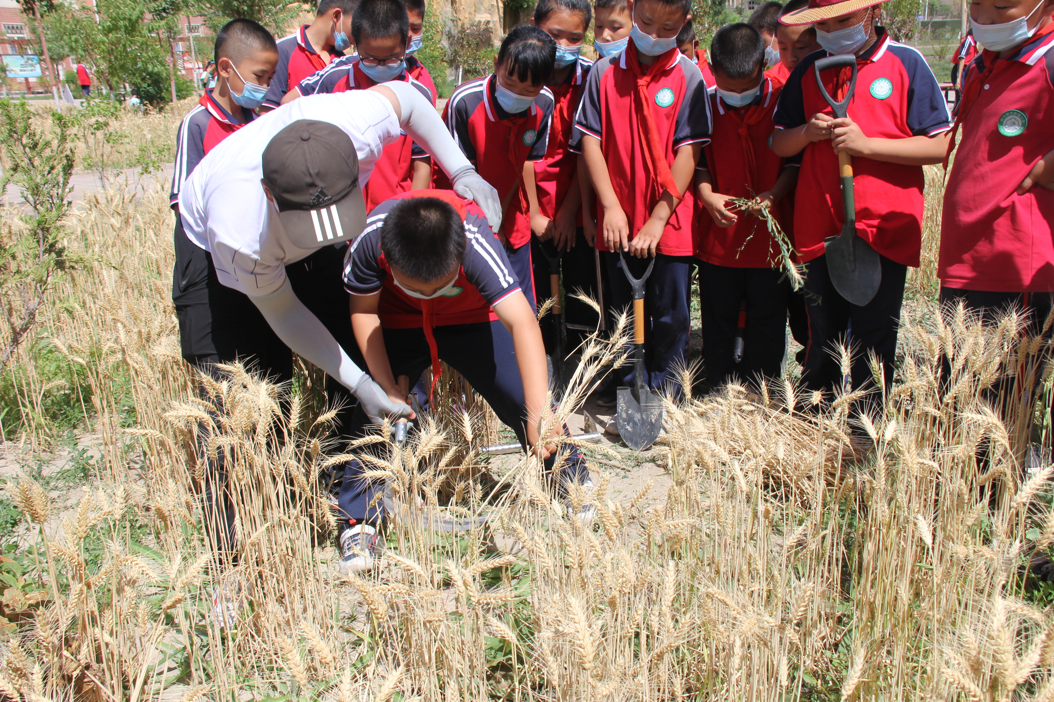 庫爾勒市梨香小學(xué)有序推進“雙減”走深走實(圖4)