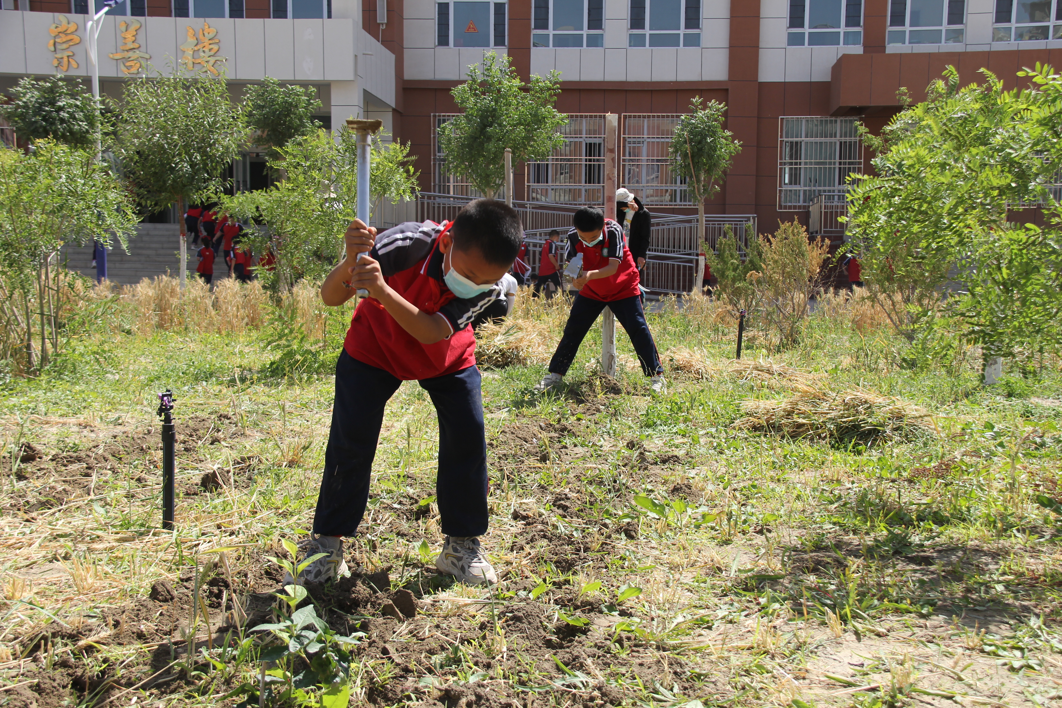 庫爾勒市梨香小學(xué)有序推進“雙減”走深走實(圖5)
