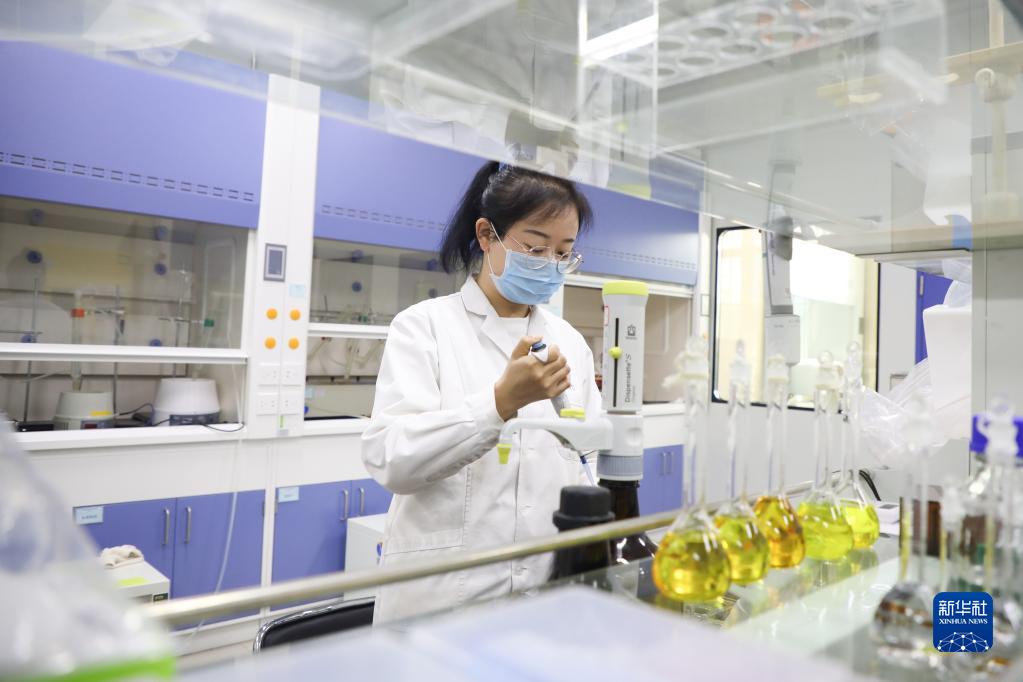 从“一粒种”到“一条链”看陇上中药材的高质量发展