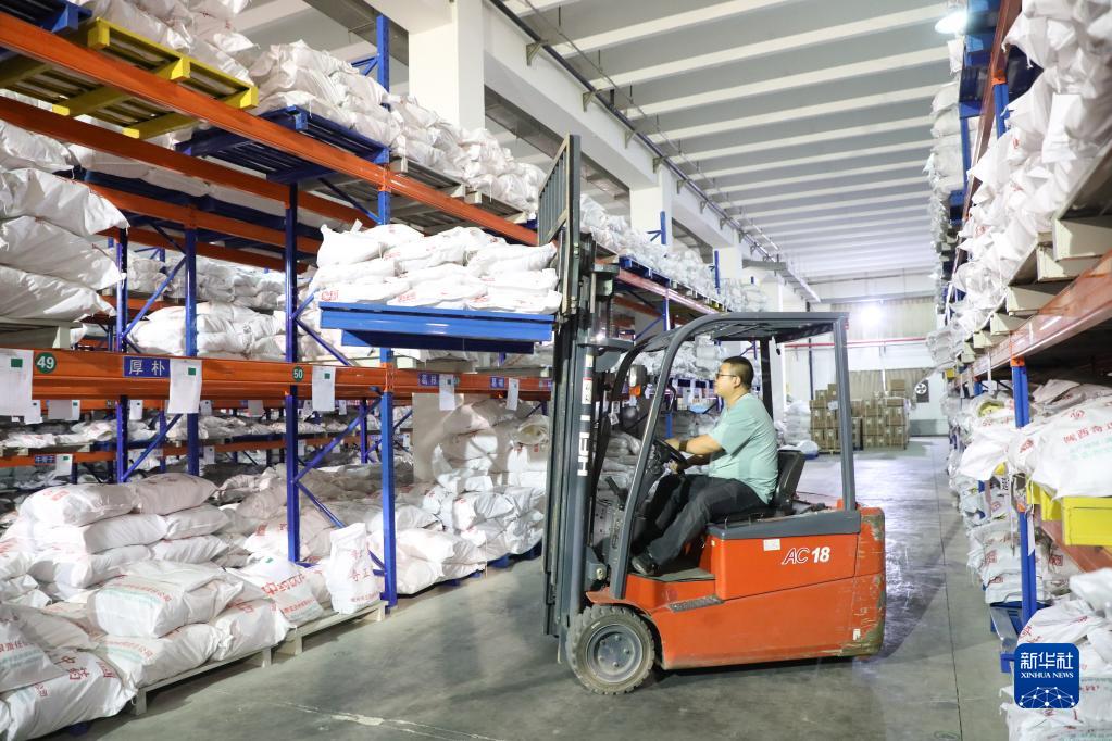 从“一粒种”到“一条链”看陇上中药材的高质量发展