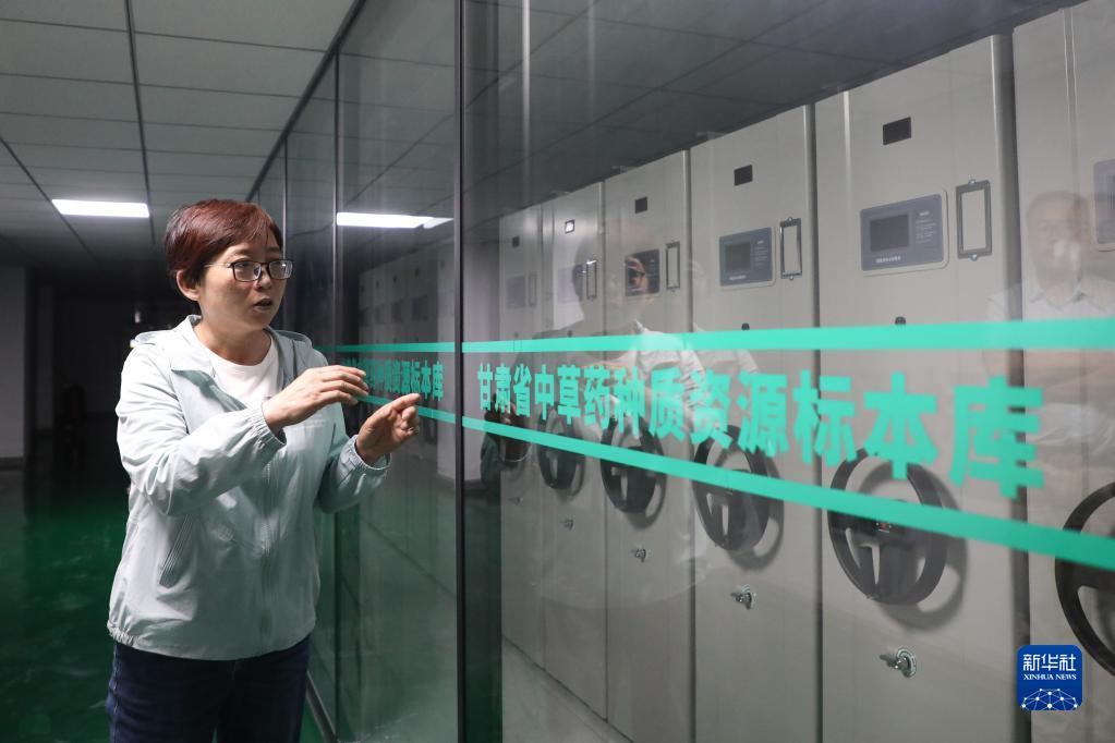 从“一粒种”到“一条链”看陇上中药材的高质量发展